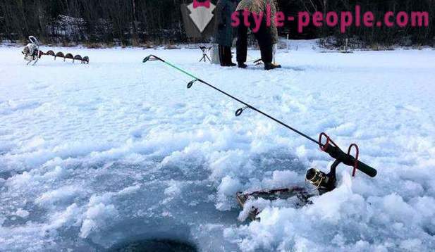 Lov in ribolov v Perm regiji: predvsem ribolov, vrste lov in ribolov