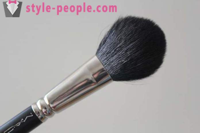Čopič za blush: pregled, kako izbrati in kako skrbeti? Makeup Brush Set