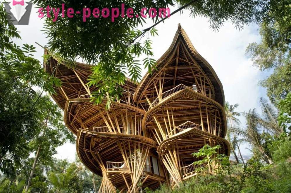 Ona je pustila službo, je šel na Bali in zgradili razkošno hišo bambusa