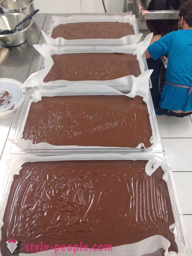 Proces raste in proizvodnjo čokolade