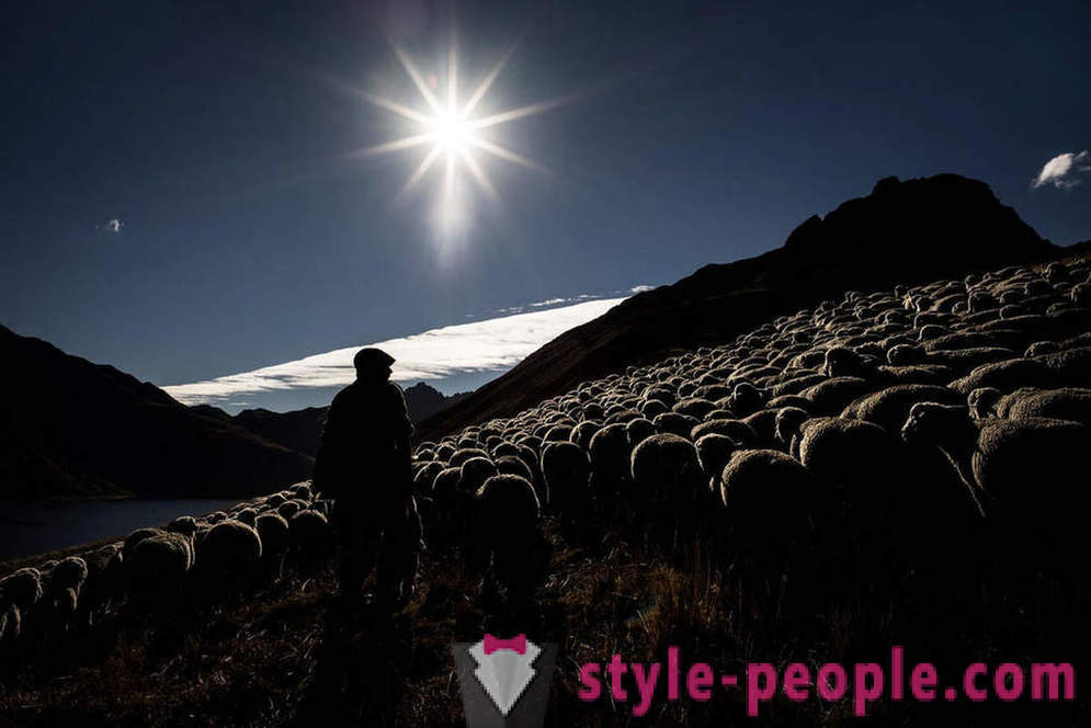 Življenje pastirja v Alpah