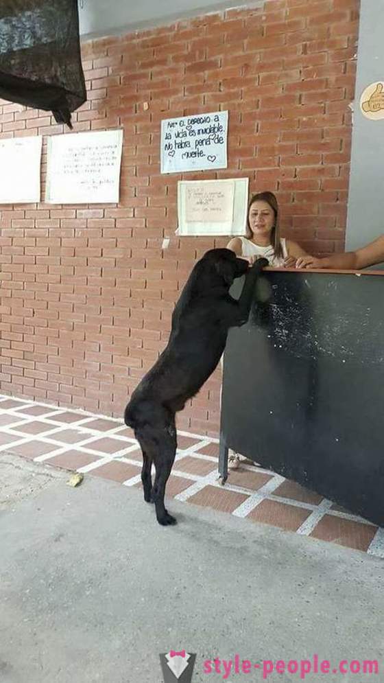 Pes se je naučil, da kupujejo hrano za svojo valuto
