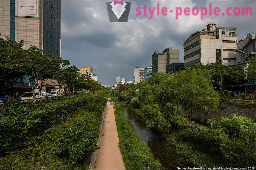 Kako poživijo betonske džungle v Seulu