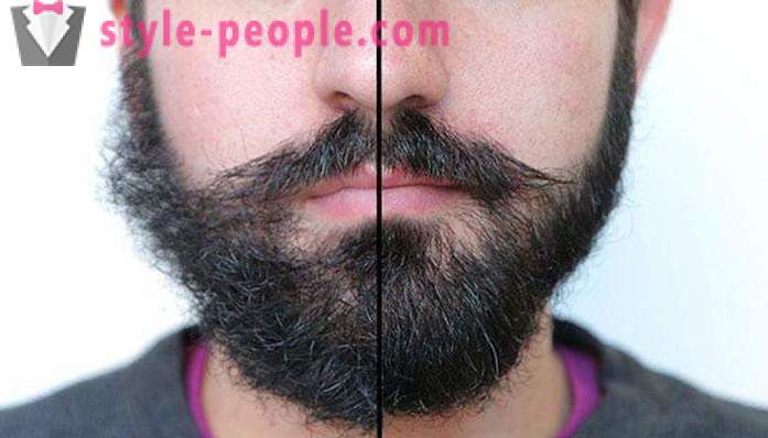 Moška brada elegantna: vrste, še posebej skrb