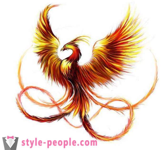 Phoenix Tattoo: skic in možnosti