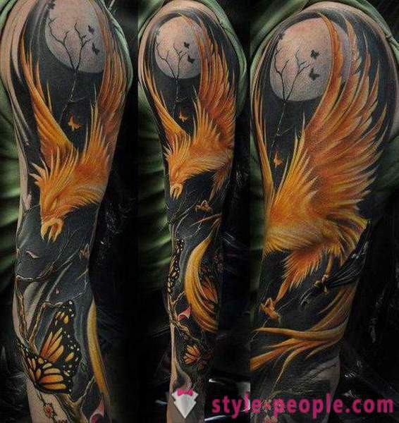 Phoenix Tattoo: skic in možnosti
