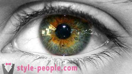 Močvirje barva oči. Kaj določa barvo človeško oko?