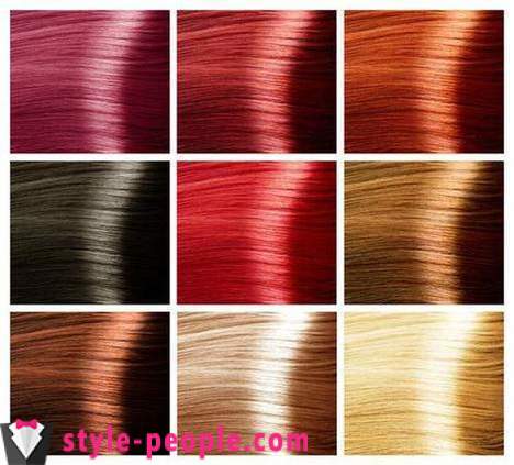 Paleta barv za lase 