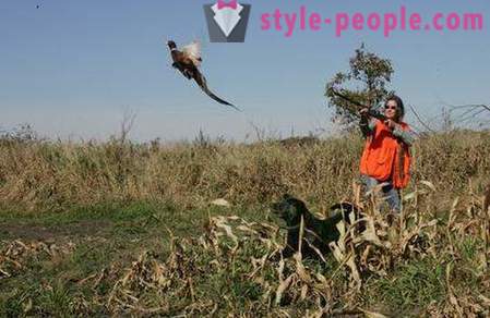 Lov na fazane s husky (foto)