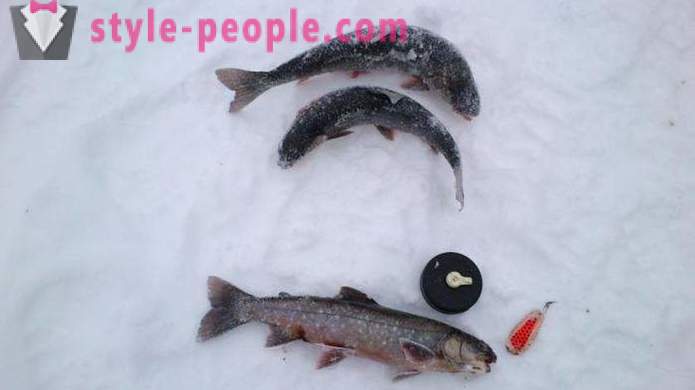 Ribiči Opozorilo: postrv ribolov v zimskem času