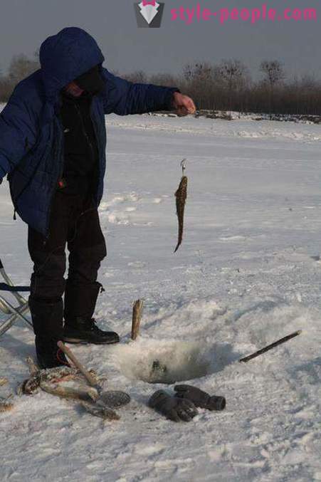 Menek ribolov v zimskem času na zherlitsy. Lovljenje menek v zimskem panulo