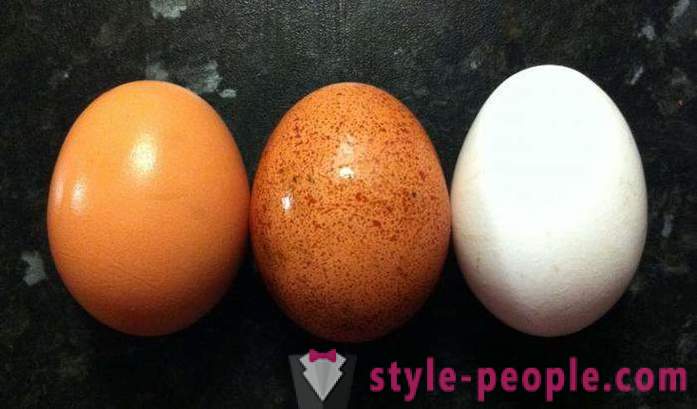 Egg prehrana: opis, prednosti in slabosti