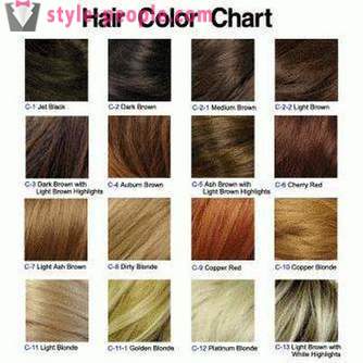 Kako izbrati novo barvo las za vas?